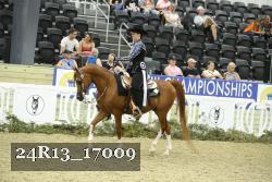 24R13_17009 thumbnail