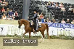 24R13_17010 thumbnail