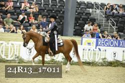 24R13_17011 thumbnail