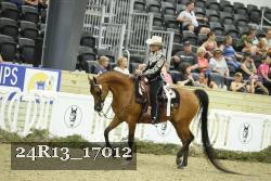 24R13_17012 thumbnail