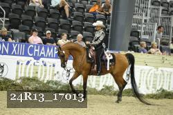24R13_17013 thumbnail