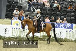 24R13_17014 thumbnail