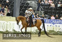 24R13_17015 thumbnail