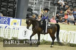 24R13_17016 thumbnail
