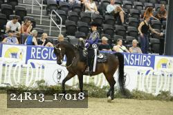 24R13_17018 thumbnail