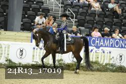24R13_17019 thumbnail
