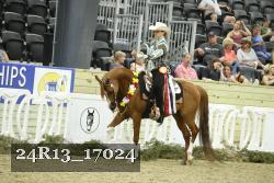 24R13_17024 thumbnail