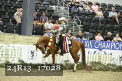 24R13_17028 thumbnail