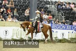 24R13_17029 thumbnail