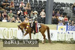 24R13_17030 thumbnail