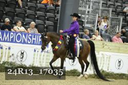24R13_17035 thumbnail