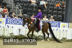 24R13_17036 thumbnail