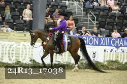 24R13_17038 thumbnail