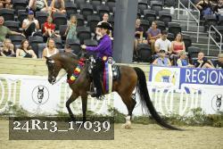 24R13_17039 thumbnail