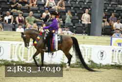 24R13_17040 thumbnail