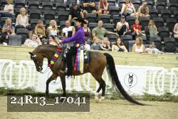 24R13_17041 thumbnail