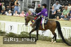24R13_17043 thumbnail