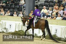 24R13_17045 thumbnail