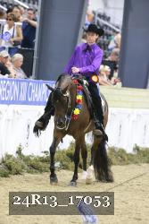 24R13_17053 thumbnail