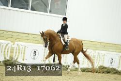 24R13_17062 thumbnail