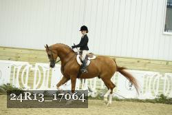 24R13_17064 thumbnail
