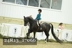 24R13_17066 thumbnail