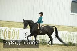 24R13_17067 thumbnail