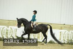 24R13_17068 thumbnail