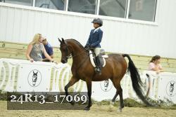 24R13_17069 thumbnail