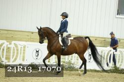 24R13_17070 thumbnail