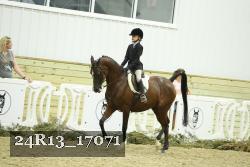 24R13_17071 thumbnail
