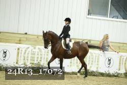 24R13_17072 thumbnail