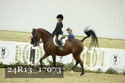 24R13_17073 thumbnail