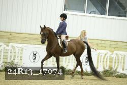 24R13_17074 thumbnail