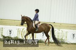 24R13_17075 thumbnail