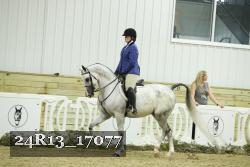 24R13_17077 thumbnail