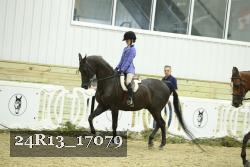 24R13_17079 thumbnail