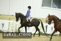 24R13_17080 thumbnail