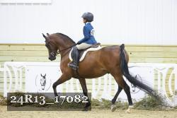 24R13_17082 thumbnail