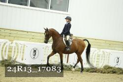24R13_17083 thumbnail