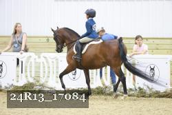 24R13_17084 thumbnail