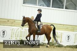 24R13_17085 thumbnail