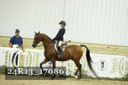 24R13_17086 thumbnail