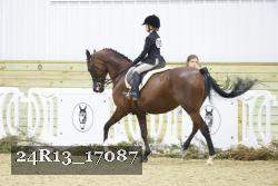 24R13_17087 thumbnail