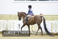 24R13_17088 thumbnail