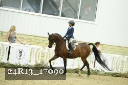 24R13_17090 thumbnail