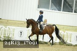 24R13_17091 thumbnail