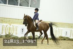 24R13_17097 thumbnail
