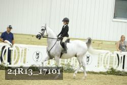 24R13_17101 thumbnail