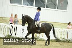 24R13_17103 thumbnail